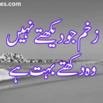 2 Line Inspirational Poetry in Urdu