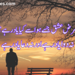 2 Line Urdu Poetry Copy Paste Love